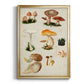 Mushroom Species IV - Modern Framed Canvas Print