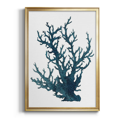 Coral Souvenirs IV - Modern Framed Canvas Print