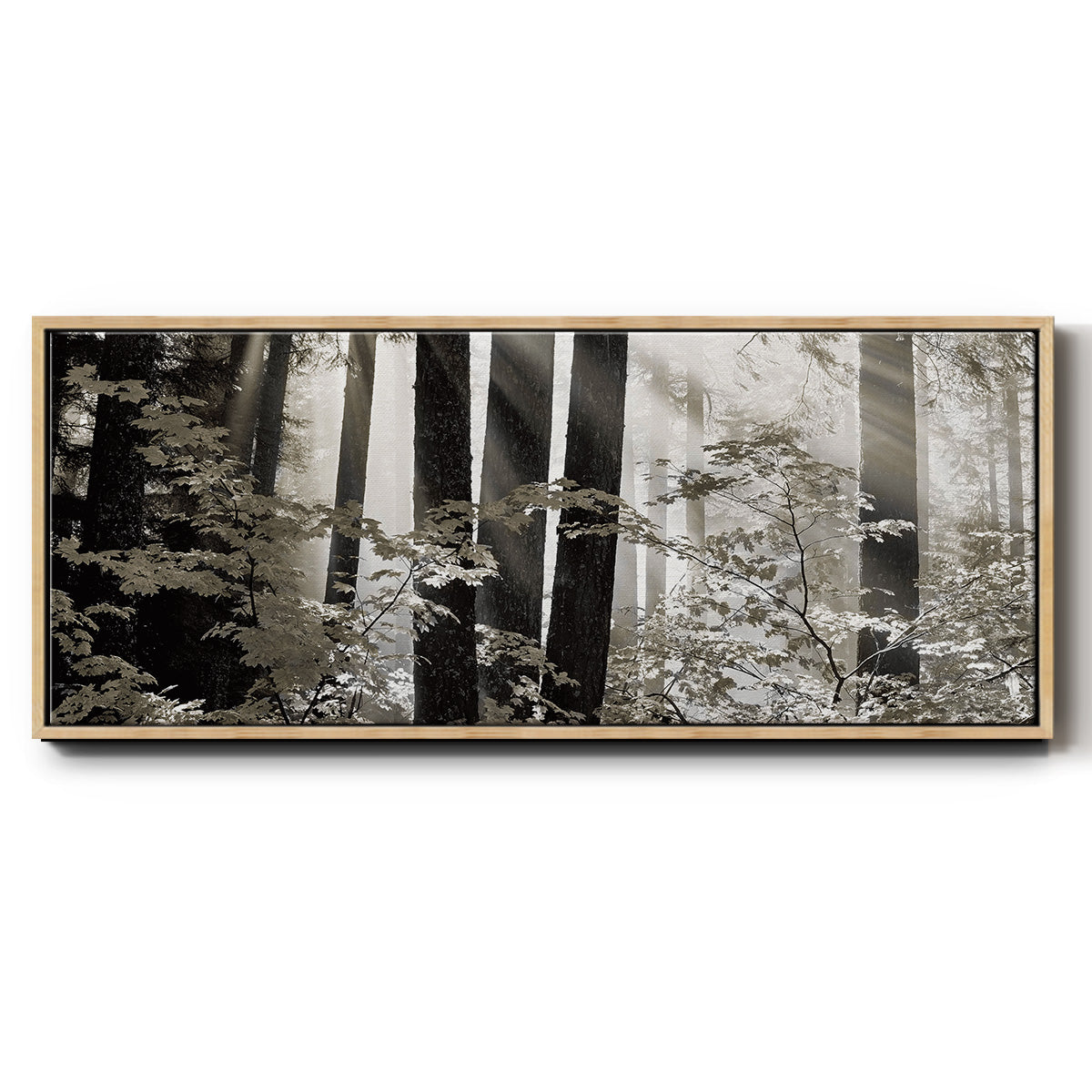 Misty Forest - Floater Framed Canvas Print