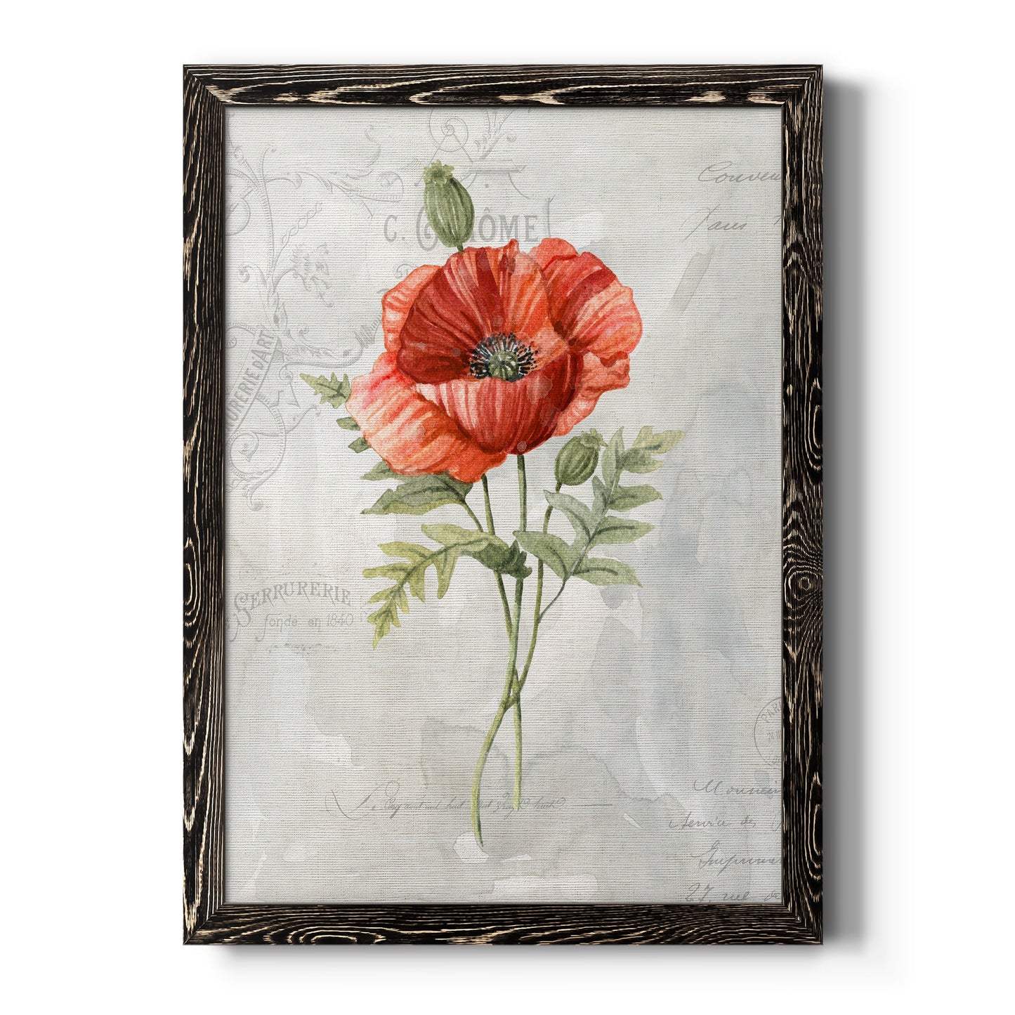 Linen Poppy - Premium Canvas Framed in Barnwood - Ready to Hang