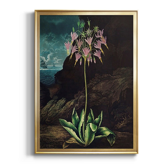 Temple of Flora II - Modern Framed Canvas Print