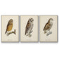 French Owls I - Floater Framed Canvas Set