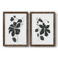 Set of two walnut barnwood framed canvas prints featuring two minimalist botanical prints featuring black leafy vine silhouettes.