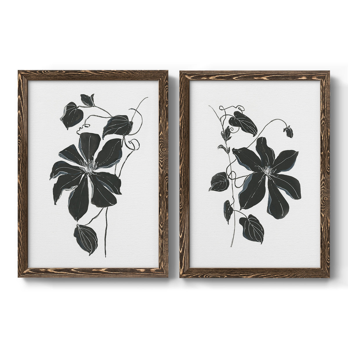 Set of two walnut barnwood framed canvas prints featuring two minimalist botanical prints featuring black leafy vine silhouettes.