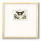 Crackled Butterflies I - Double Matboard Framed Print