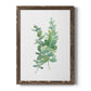 Eucalyptus I - Barnwood Framed Canvas Print