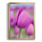 Magenta Stem - Modern Framed Canvas Print