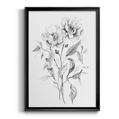 Wild Roses Sketch - Modern Framed Canvas Print