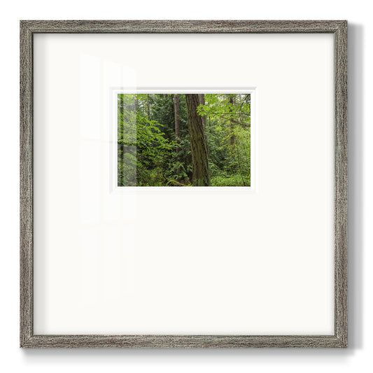 Calm of the Forest Premium Framed Print Double Matboard