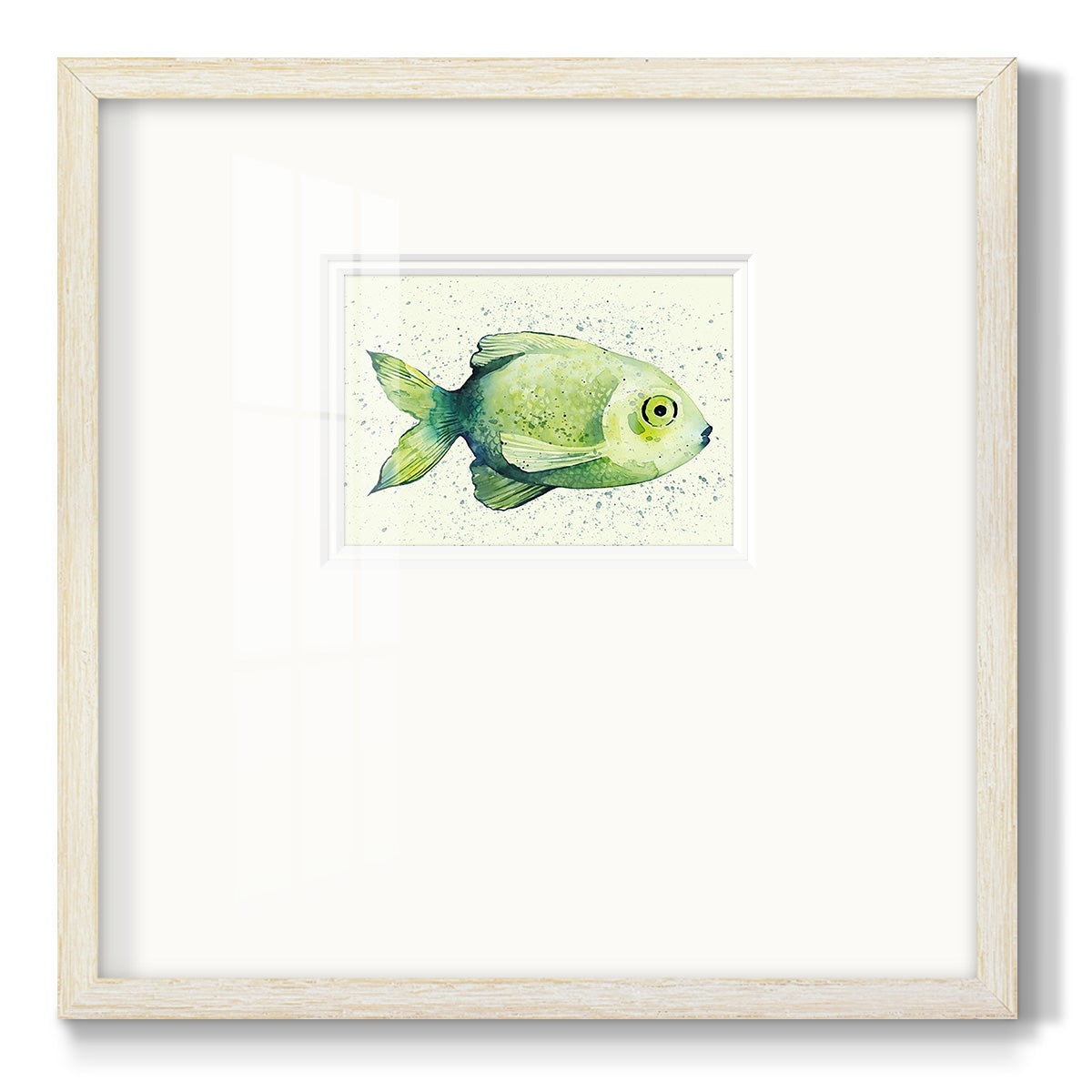 Speckled Freshwater Fish II Premium Framed Print Double Matboard