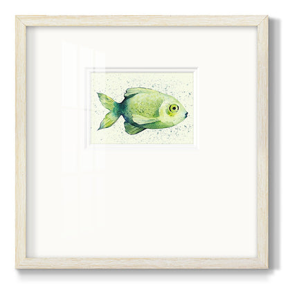 Speckled Freshwater Fish II - Double Matboard Framed Print