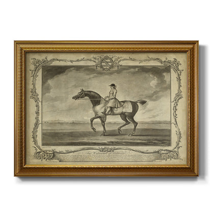 Distinguished Horses II Premium Framed Canvas- Ready to Hang