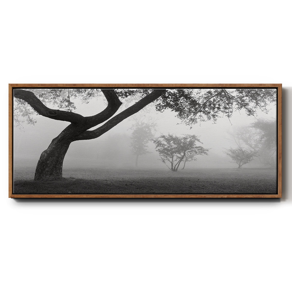 Morning Mist, Farmington Hills, Michigan - Floater Framed Canvas Print
