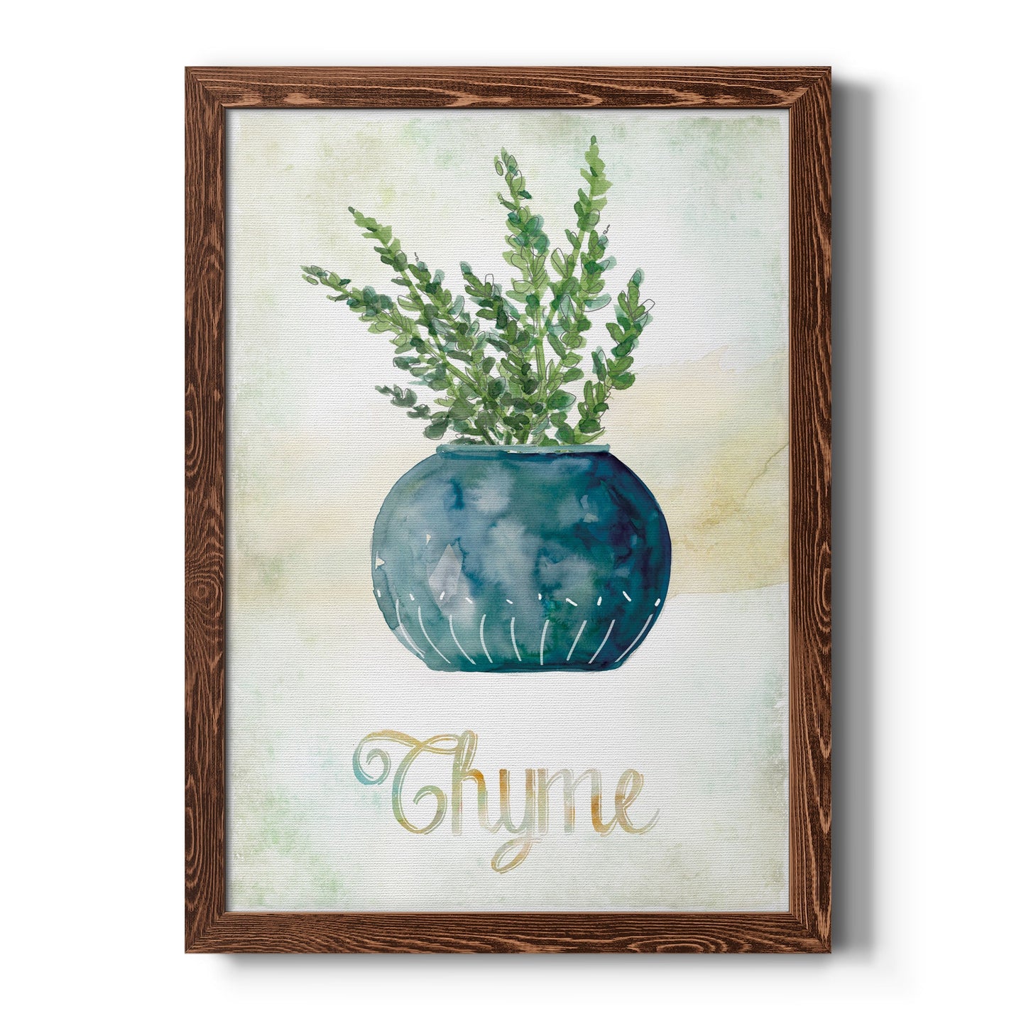 Potted Thyme - Barnwood Framed Canvas Print