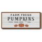 Farm Fresh Pumpkins - Floater Framed Canvas Print
