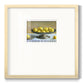 Silver Lemons - Double Matboard Framed Print