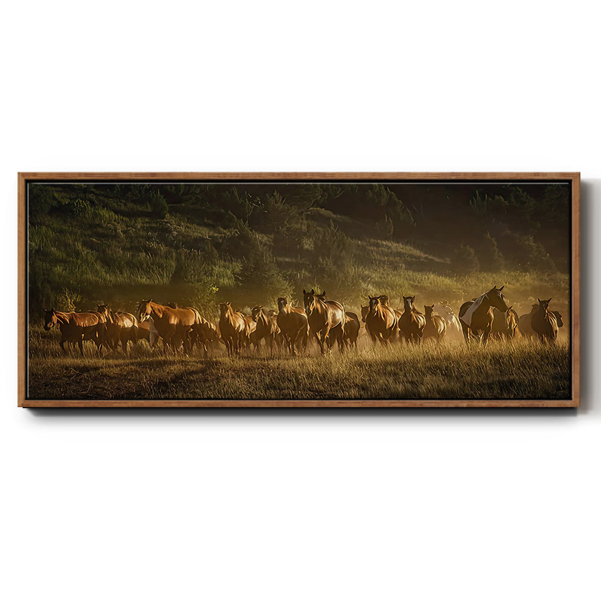 Wild and Free III - Floater Framed Canvas Print