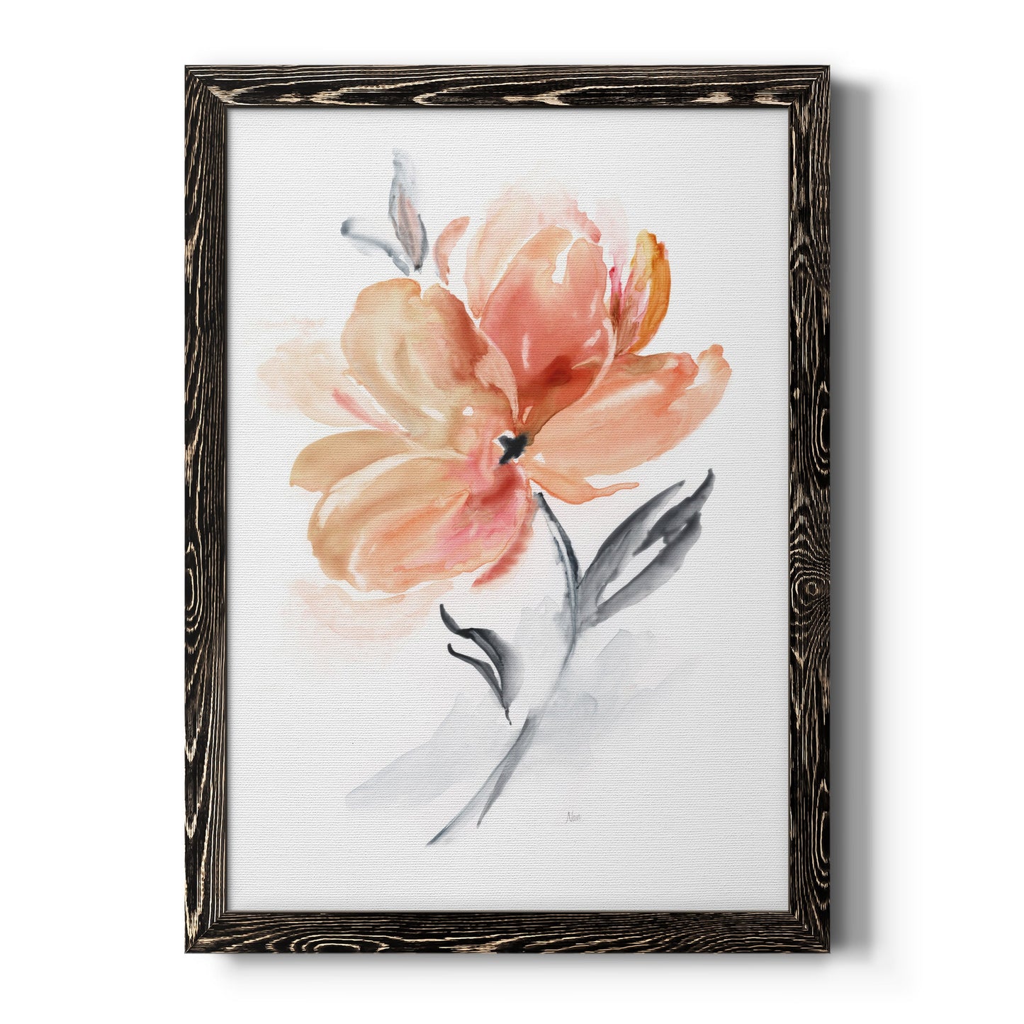 Soft Sensation II - Premium Canvas Framed in Barnwood - Ready to Hang