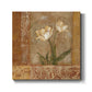Morning Floral II - Canvas Art Print