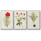 Flowers of the Seasons VI - Framed Premium Gallery Wrapped Canvas L Frame 3 Piece Set - Ready to Hang