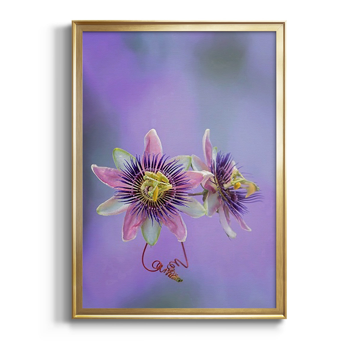 Exotic Flower Burst II - Modern Framed Canvas Print