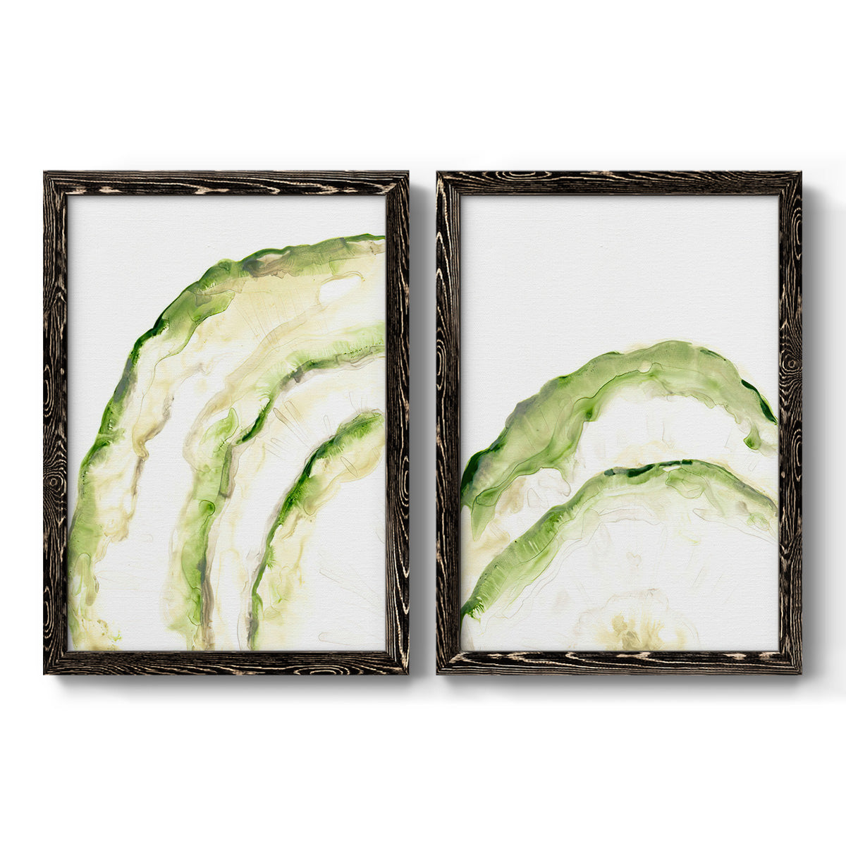 Lichen Halo I - Premium Framed Canvas 2 Piece Set - Ready to Hang