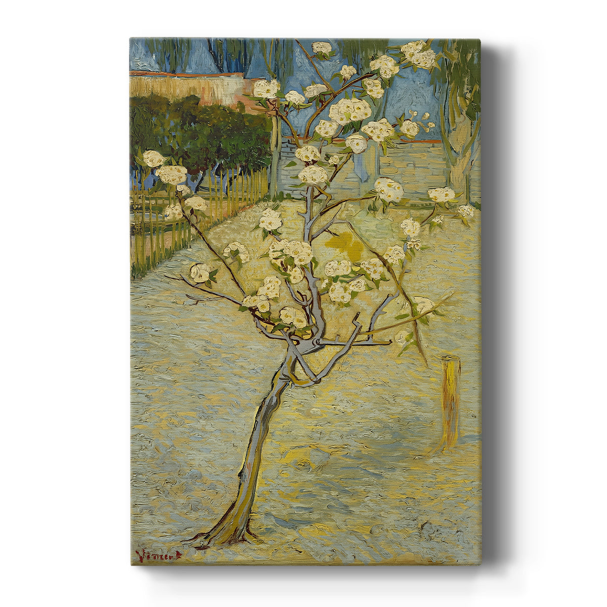 Canvas art print featuring an expressive scene of a flowering tree with light tones and textured strokes on a clean white background.