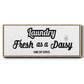 Daisy Laundry - Floater Framed Canvas Print