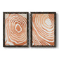 Wood Grain Suminagashi III - Premium Framed Canvas 2 Piece Set - Ready to Hang