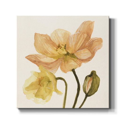 Highpoint Poppies II - Canvas Art Print