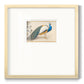 Golden Peacock III - Double Matboard Framed Print