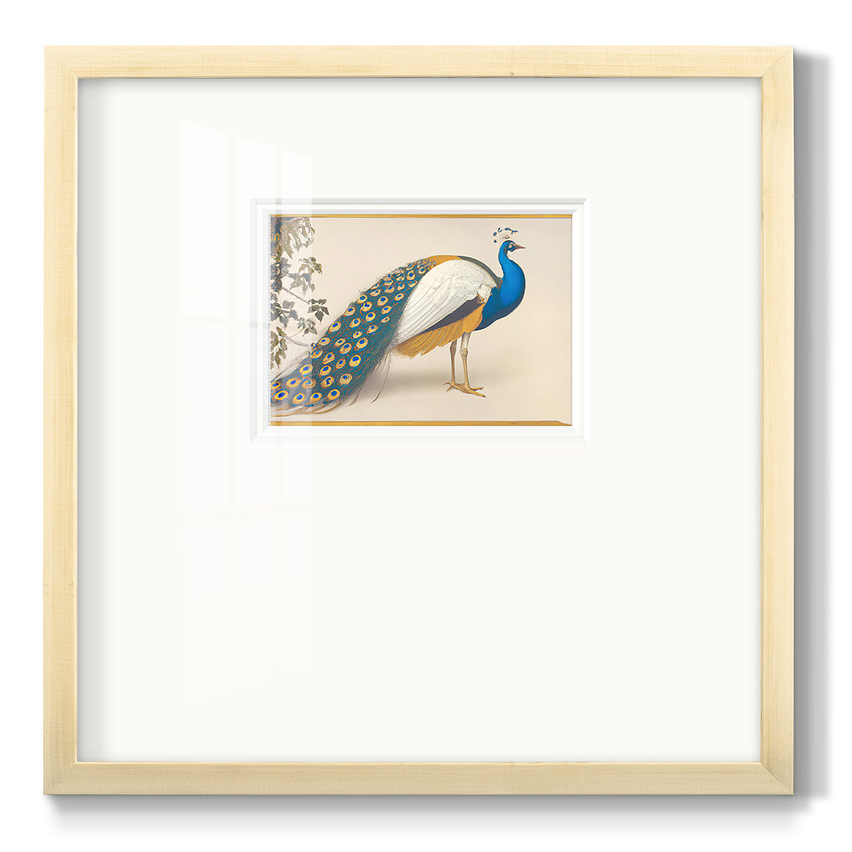 Golden Peacock III - Double Matboard Framed Print