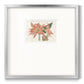 Amaryllis Varietals III - Double Matboard Framed Print