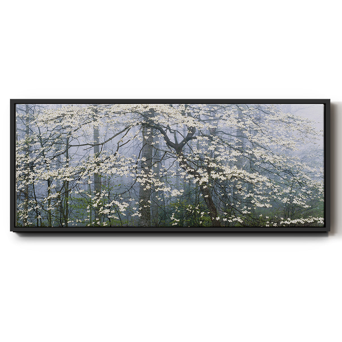 Dogwood Canopy - Floater Framed Canvas Print