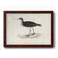 Morris Sandpipers VIII Premium Framed Canvas- Ready to Hang