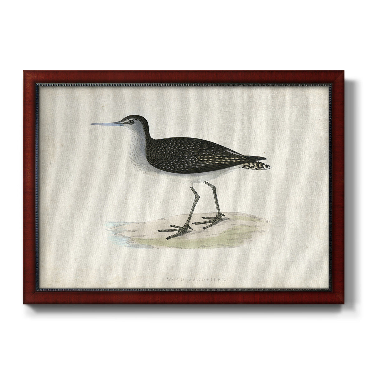 Morris Sandpipers VIII Premium Framed Canvas- Ready to Hang