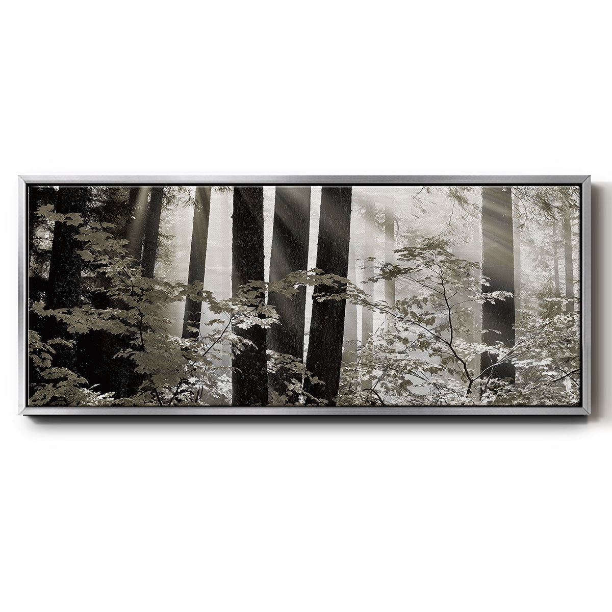 Misty Forest - Floater Framed Canvas Print