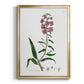 Rose Botanical I - Modern Framed Canvas Print