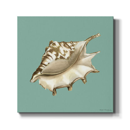 Shell on Aqua IV - Canvas Art Print