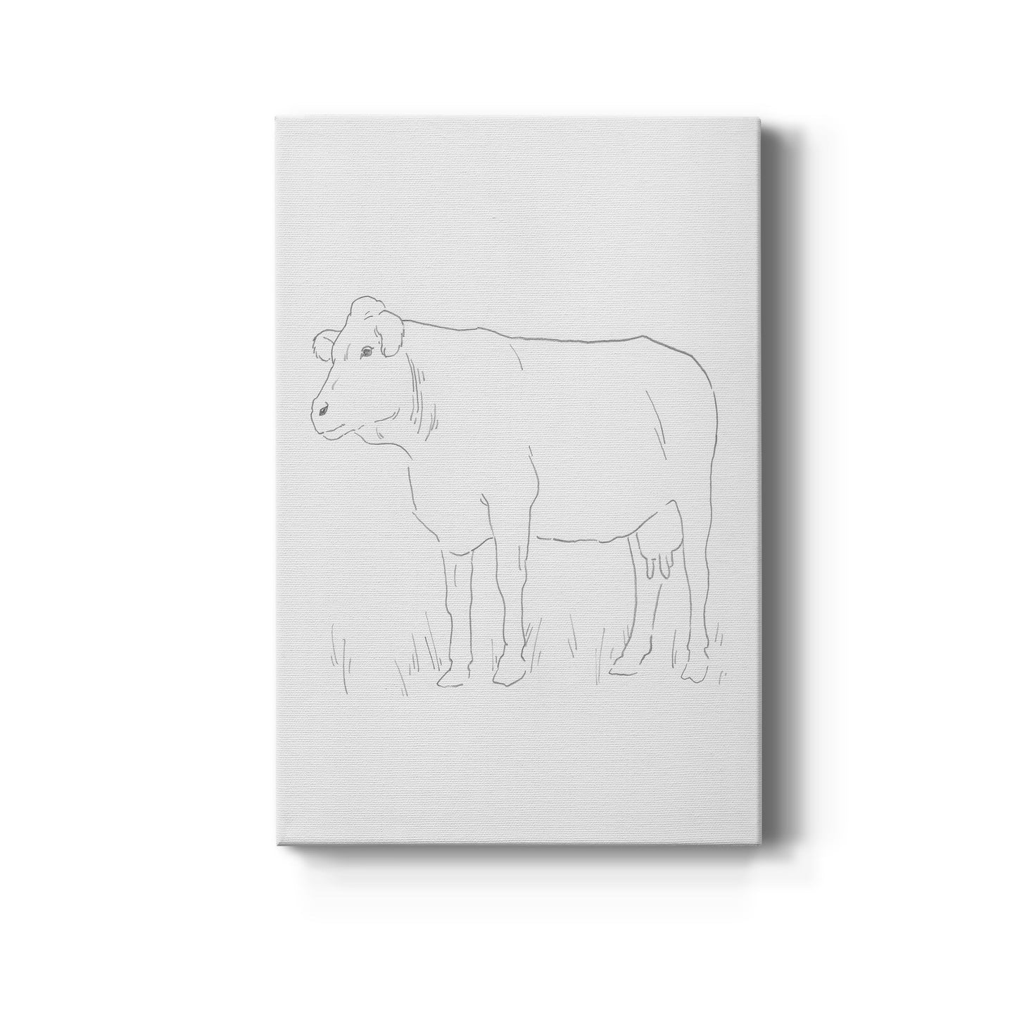 Limousin Cattle IV  Premium Gallery Wrapped Canvas - Ready to Hang