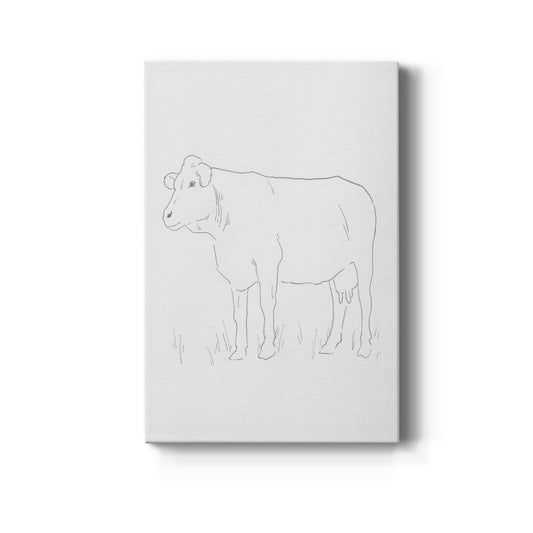 Limousin Cattle IV  Premium Gallery Wrapped Canvas - Ready to Hang