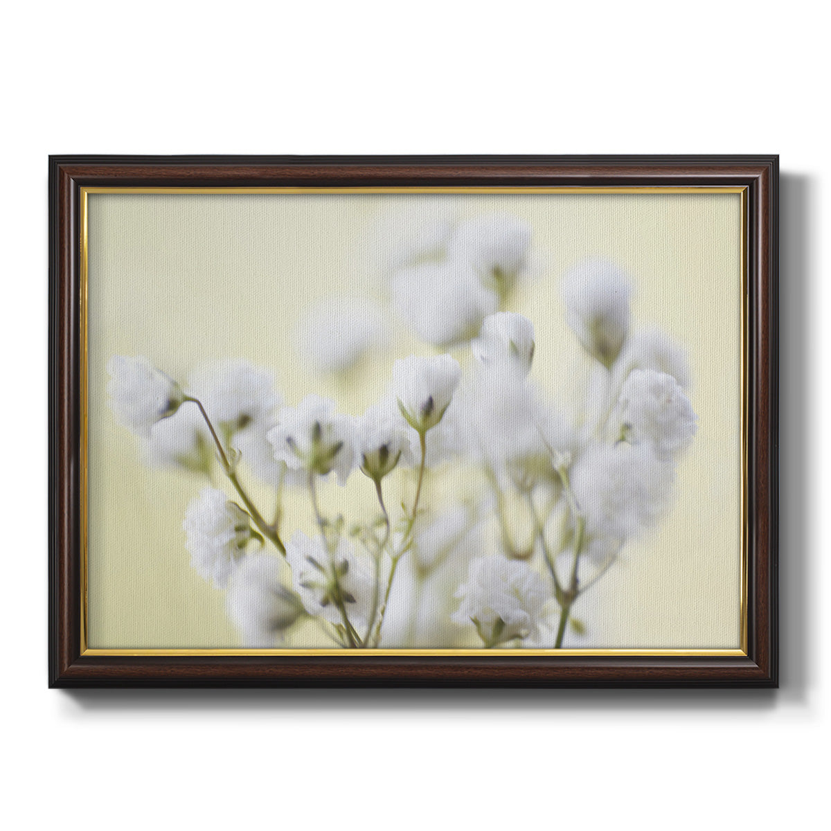 Baby's Breath Study IV Premium Framed Canvas- Ready to Hang