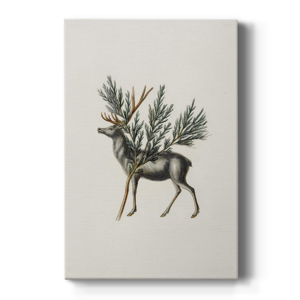 Midnight of Pearled Dawn - Canvas Art Print