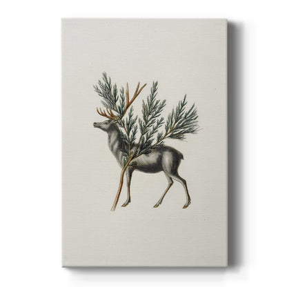 Midnight of Pearled Dawn - Canvas Art Print