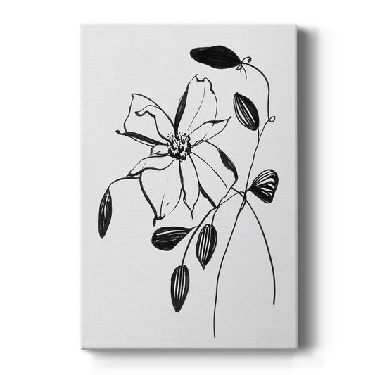 Wild Clematis II - Canvas Art Print