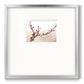 Cherry Blossom Study I - Double Matboard Framed Print