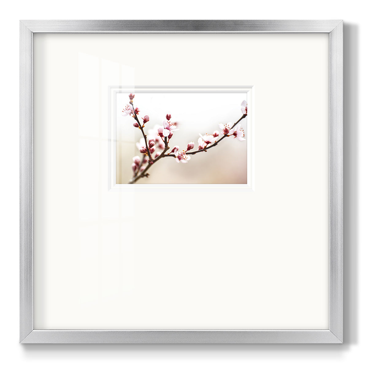 Cherry Blossom Study I - Double Matboard Framed Print
