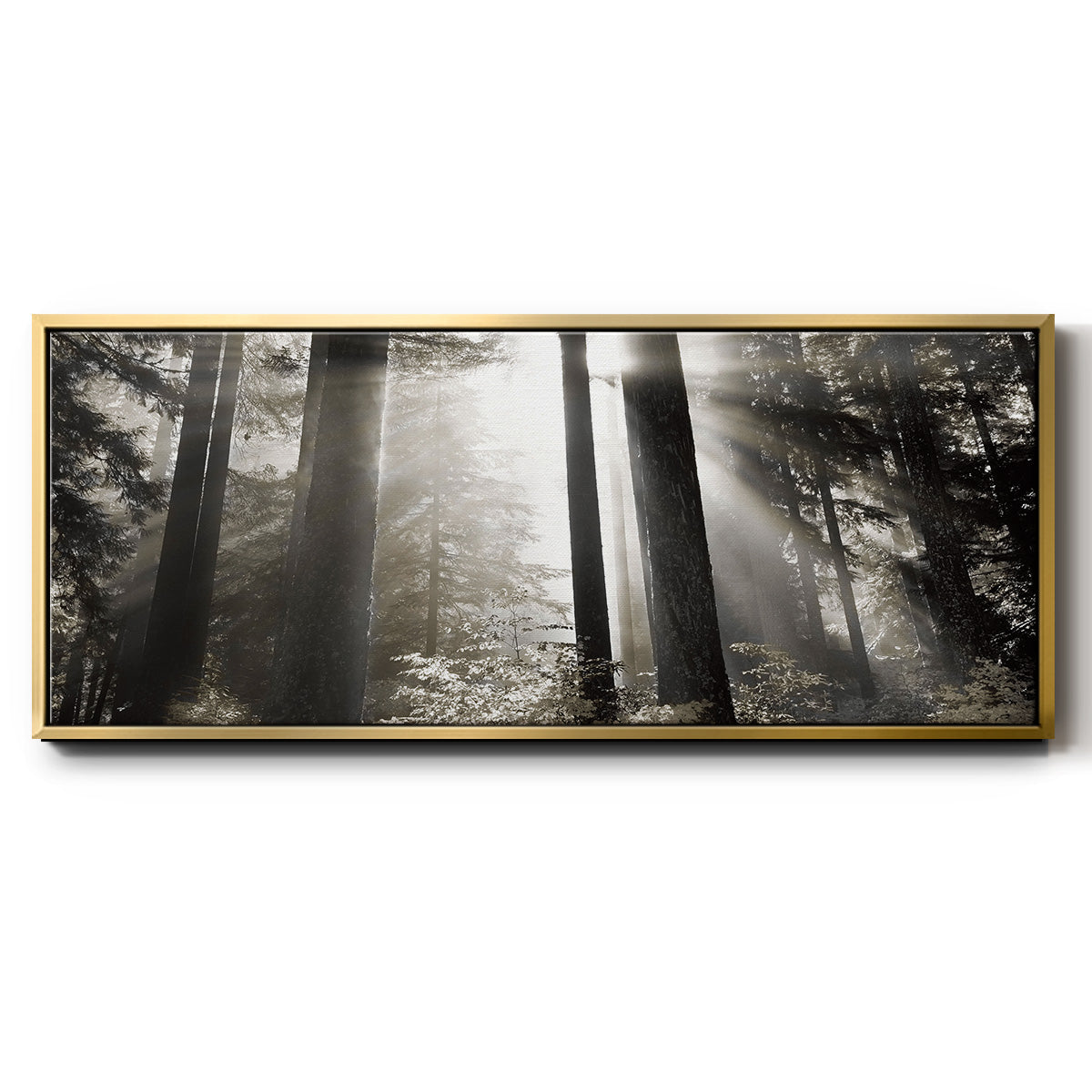 Morning Light - Floater Framed Canvas Print