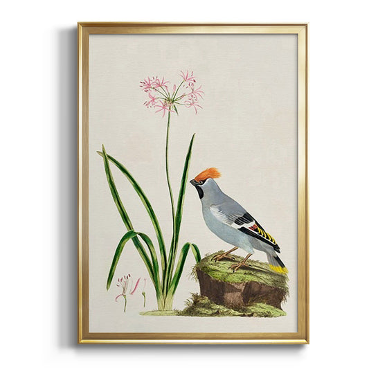 Bird in Habitat II - Modern Framed Canvas Print