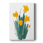 Daffodil Bunch II - Canvas Art Print